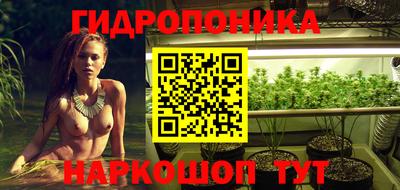 spice Севастополь
