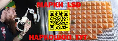 spice Севастополь