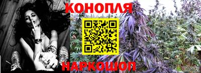 spice Севастополь