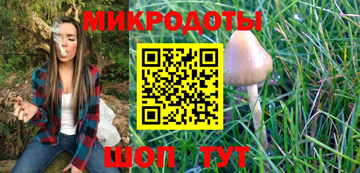 Псилоцибиновые грибы мухоморы Серпухов