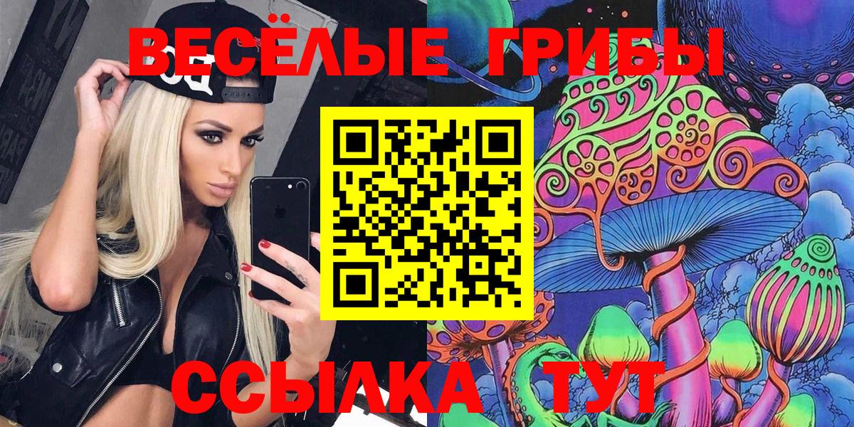 Псилоцибиновые грибы Cubensis Серпухов