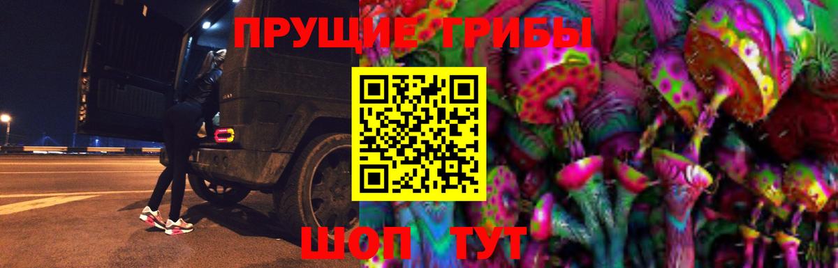 что такое наркотик  Вход с VPN  Серпухов  Галлюциногенные грибы Psilocybine cubensis 